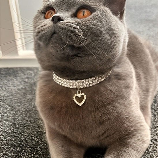 COLLIER POUR CHATON STRASS | AVEC CĆUR - Leschamour