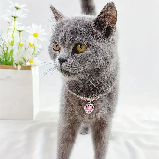 COLLIER POUR CHATON | STRASS ET PENDENTIF CĆUR - Leschamour