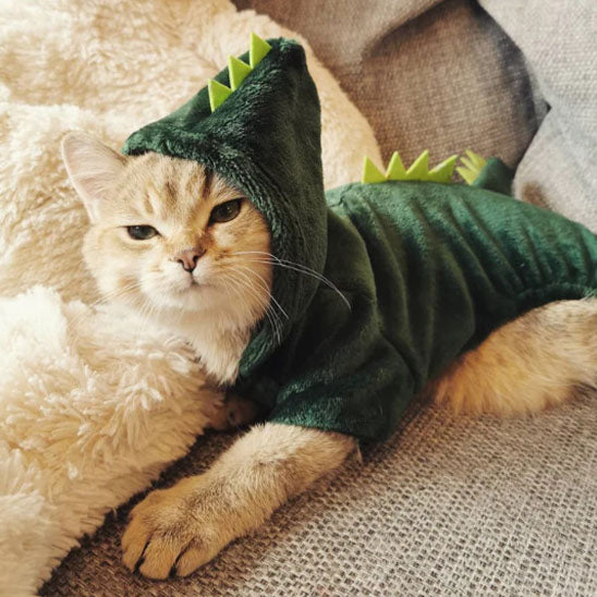 Déguisement-pour-chat-halloween-dinosaure-mignon