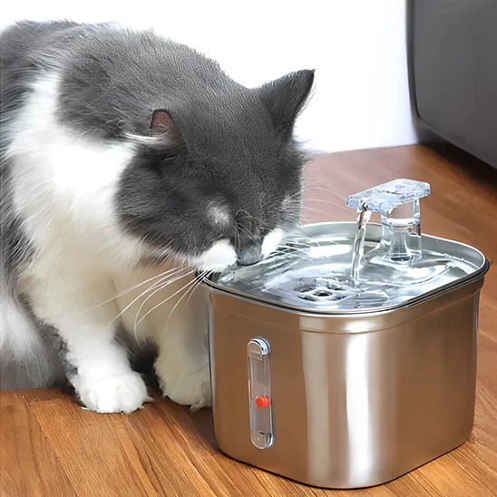 FILTRE POUR FONTAINE À EAU CHAT | LOT DE 12 FILTRES - Leschamour