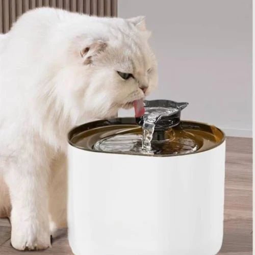 FONTAINE Ă EAU CHAT | SILENCIEUSE - Leschamour