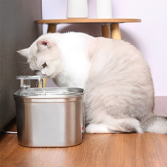 FONTAINE A EAU POUR CHAT | AVEC CAPTEUR DE MOUVEMENT - electrique Leschamour