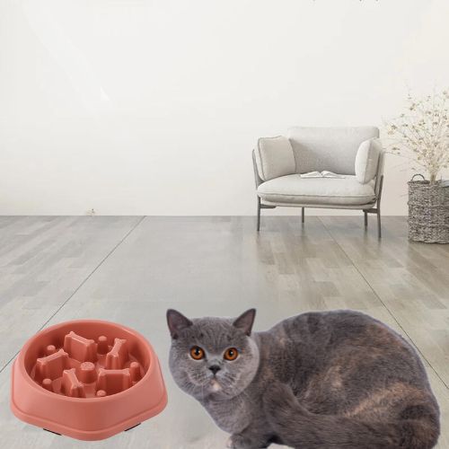 GAMELLE ANTI GLOUTON CHAT | ANTIDĂRAPANTE - Leschamour