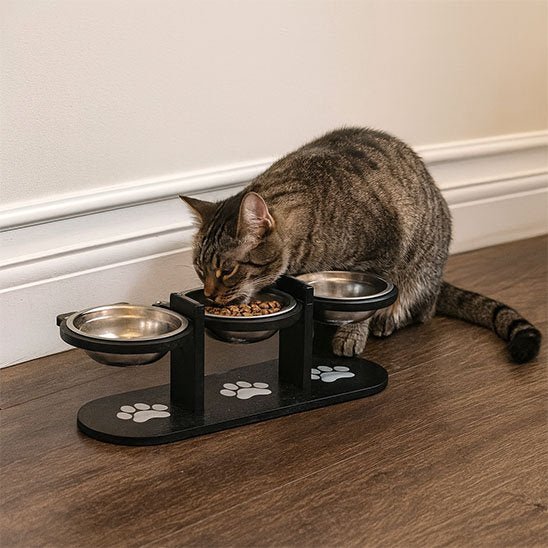 GAMELLE CHAT INCLINĂE | 3 BOLS EN ACIER INOXYDABLE - Leschamour