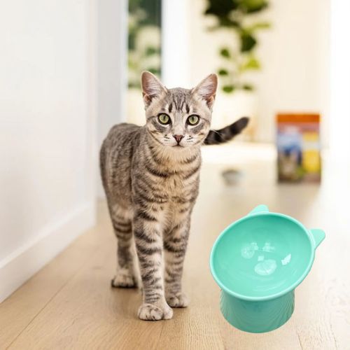 GAMELLE POUR CHAT | ANTI ĂTOUFFEMENT - Leschamour