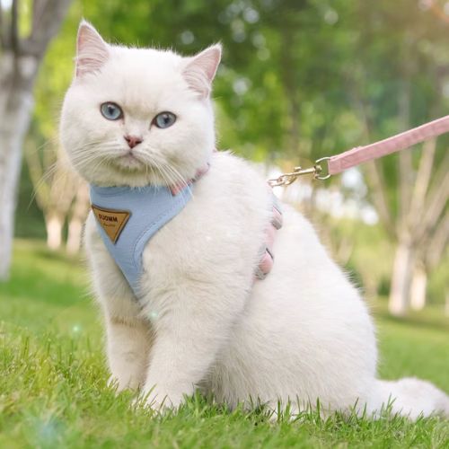HARNAIS CHAT ANTI - FUGUE | RĂGLABLE + LAISSE OFFERTE - Leschamour
