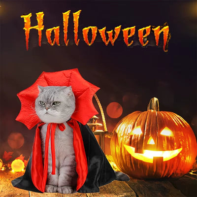 DÉGUISEMENT POUR LES CHATS