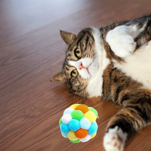 BALLE REBONDISSANTE POUR CHAT | JUMPCAT™ - Leschamour