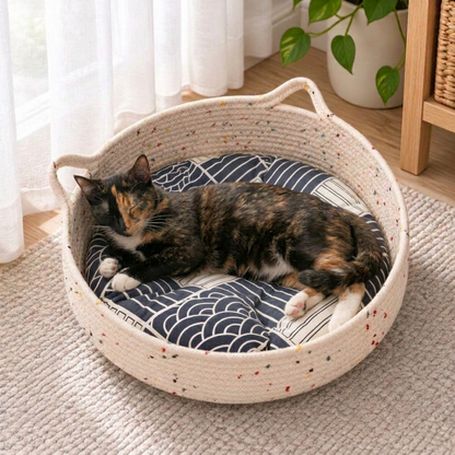 Chat écaille de tortue endormi dans un panier chat rotin avec coussin gris à motifs blancs près d’une fenêtre