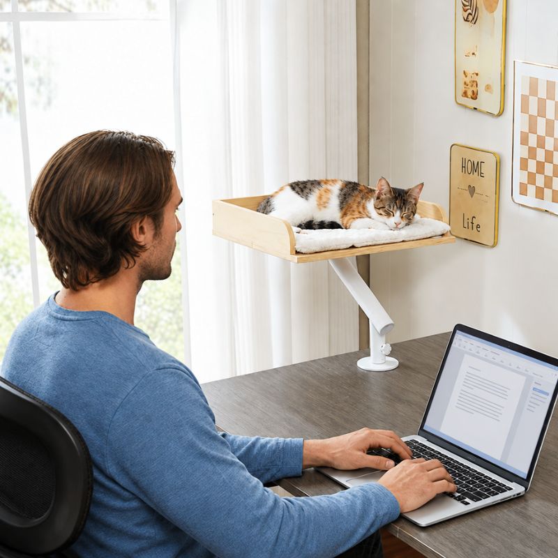 Panier suspendu pour chat avec un chat endormi près d’un homme au travail.