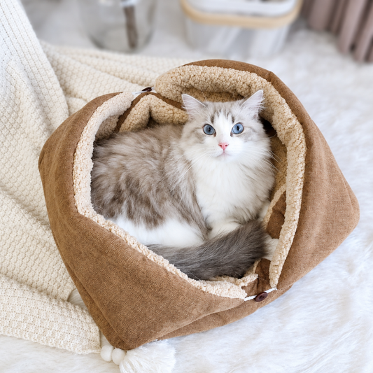 Cocon pour chat pliable beige avec un chat blanc et gris regardant l’objectif