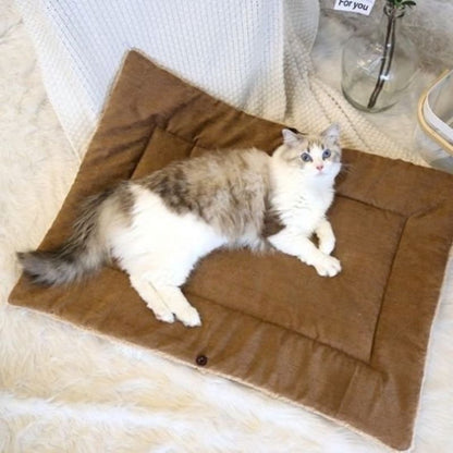Cocon pour chat marron déplié à plat avec un chat gris et blanc allongé.