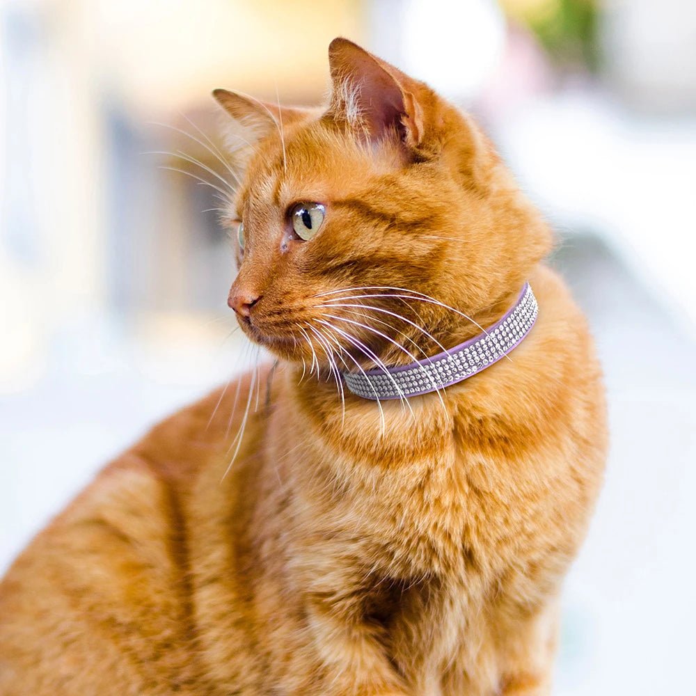 COLLIER ANTI ETRANGLEMENT POUR CHAT | LOVECAT™ - Leschamour