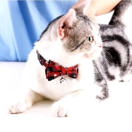 COLLIER ANTI ETRANGLEMENT POUR CHAT | NOEL - Leschamour