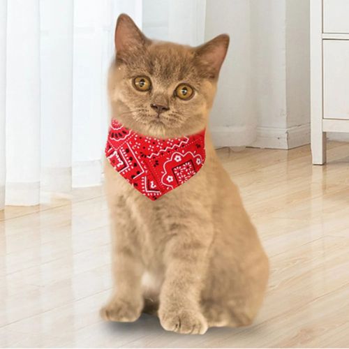 collier-chat-rouge