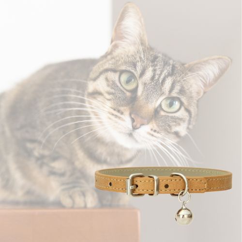 collier-pour-chat-marron