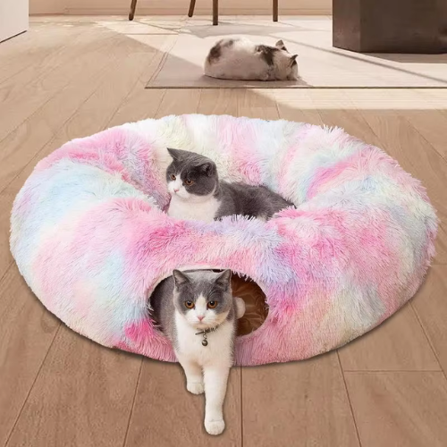 coussin-chat-arc-en-ciel