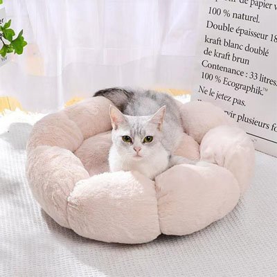 coussin-moelleux-pour-chat-beige