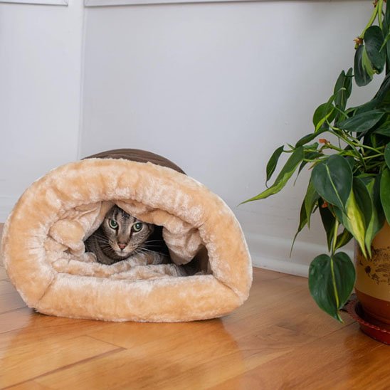 Coussin pour chat moelleux cachette