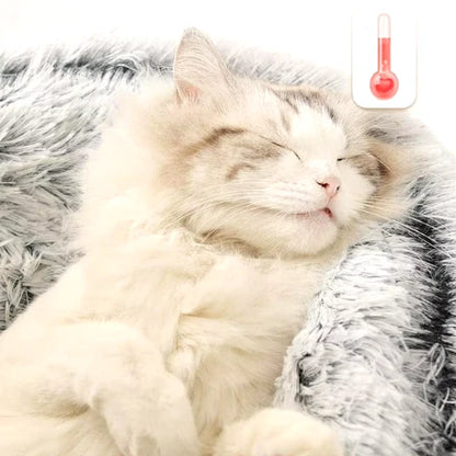coussin_chat_chaud
