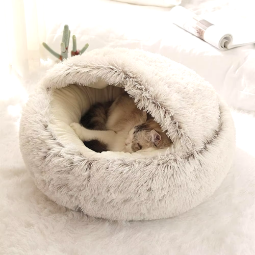 coussin_chat_gris