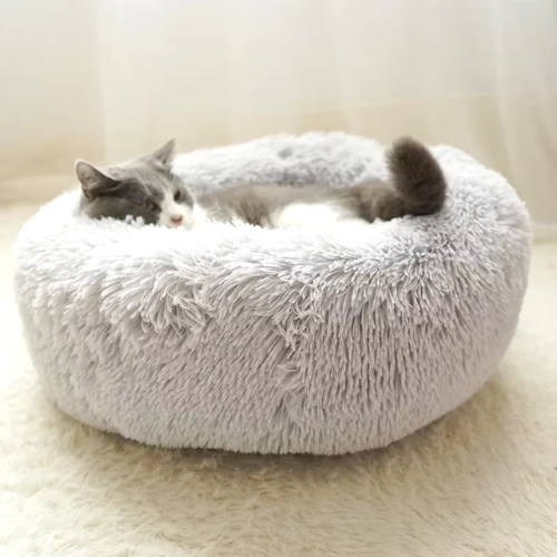 coussin_chat_gris