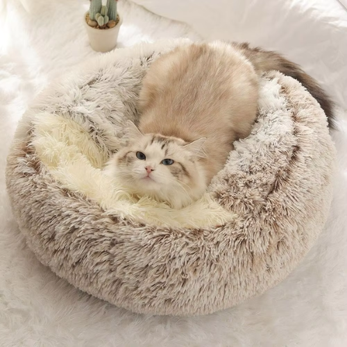 coussin_chat_marron