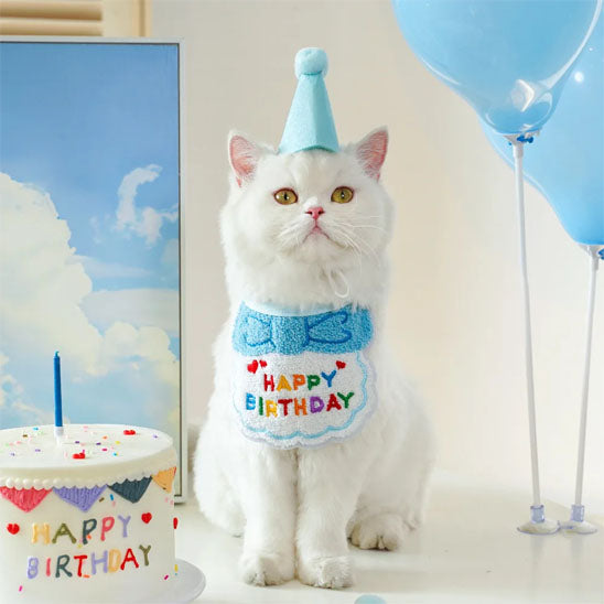 Déguisement-pour-chat-anniversaire-bleu