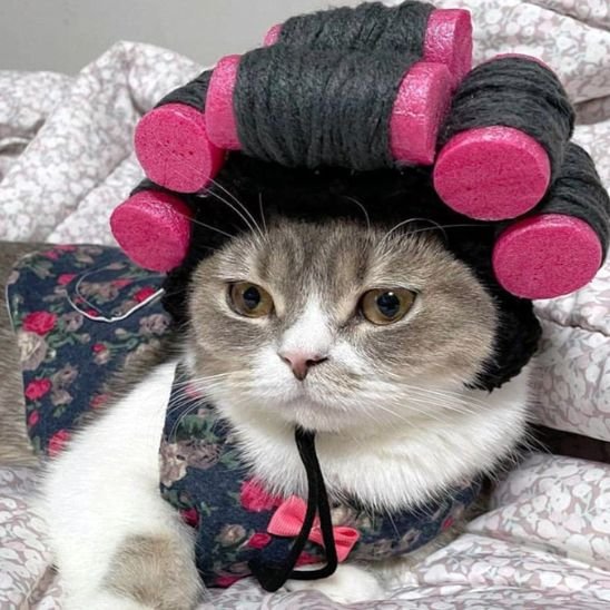 Déguisement-pour-chat-bigoudis-rose