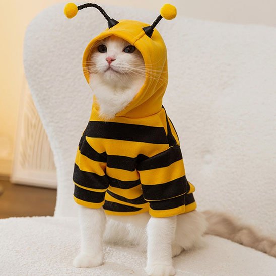 Déguisement-pour-chat-halloween-abeille-antennes