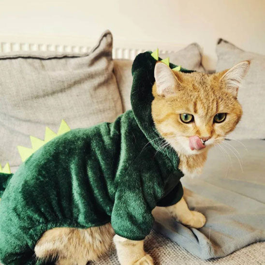 Déguisement-pour-chat-halloween-dinosaure-chaud