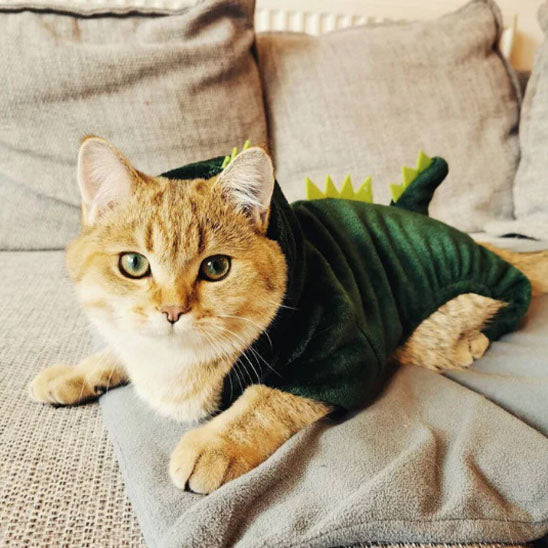 Déguisement-pour-chat-halloween-dinosaure-costume