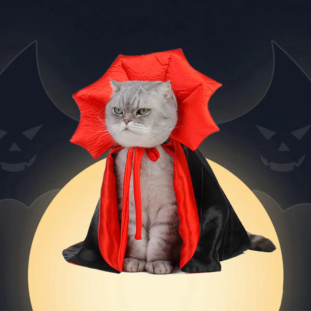 Déguisement pour chat Halloween Dracula