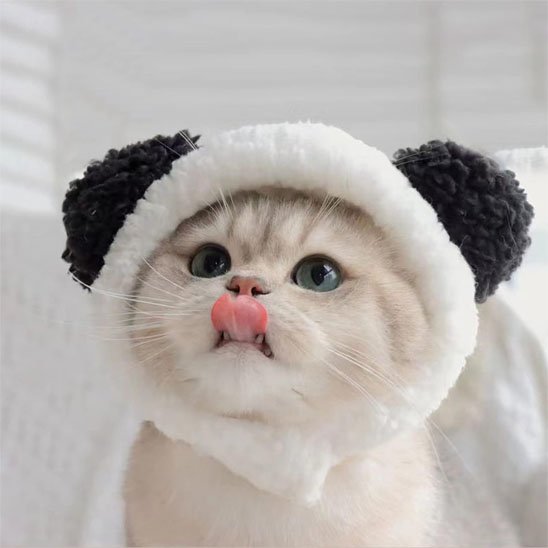 Déguisement-pour-les-chats-mignon