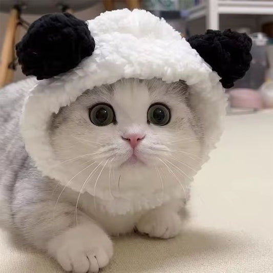 Déguisement-pour-les-chats-panda