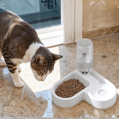 DISTRIBUTEUR CROQUETTES ET EAU CHAT | SPÉCIAL ANGLE - Leschamour