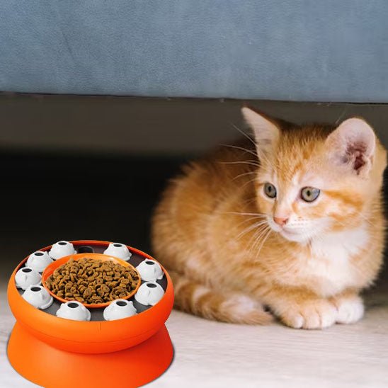 DISTRIBUTEUR CROQUETTES POUR CHAT | ANTI GLOUTON - Leschamour