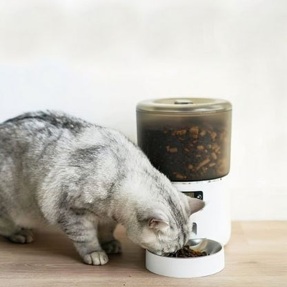 DISTRIBUTEUR DE CROQUETTES AUTOMATIQUE CHAT | 4 L - Leschamour