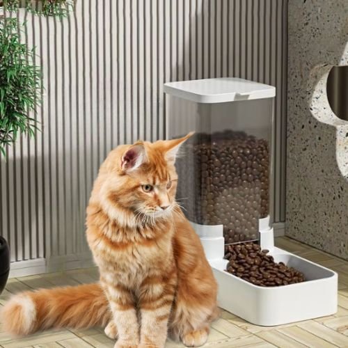 DISTRIBUTEUR DE CROQUETTES CHAT | GRANDE CAPACITÉ - Leschamour