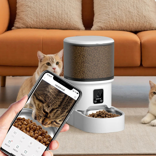 Distributeur de croquettes pour chat automatique avec caméra