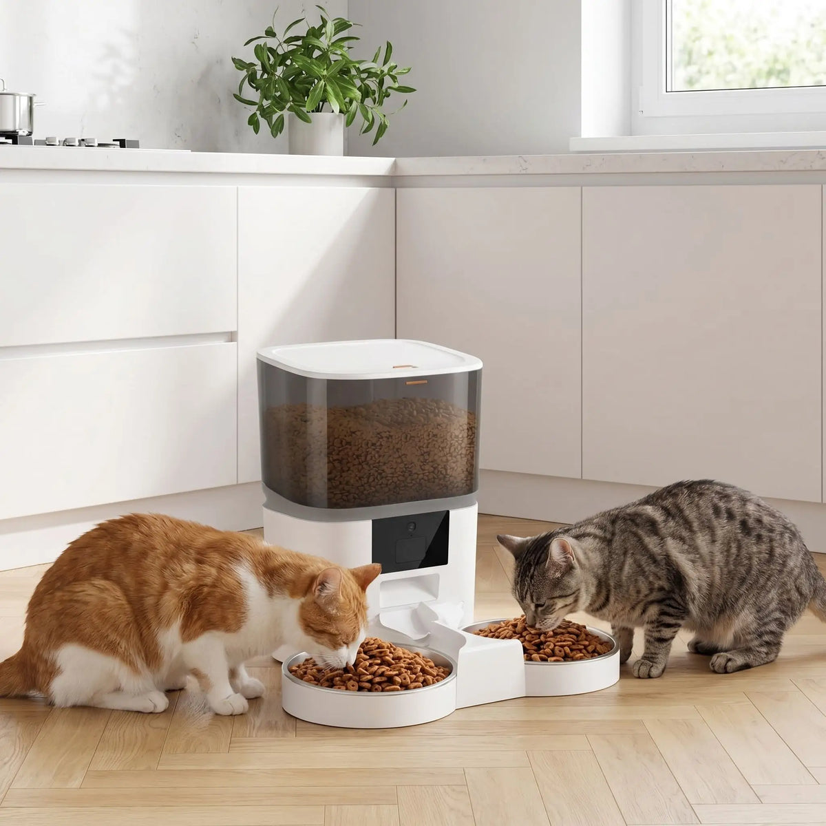 distributeur de croquettes programmable pour chat double gamelle 4L blanc

