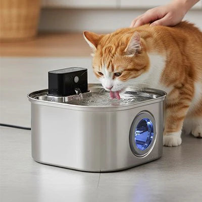 filtres fontaine à eau chat au charbon actif
