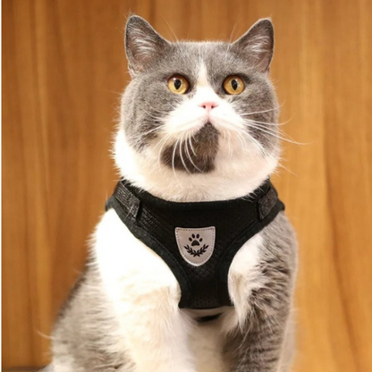 flashcat-harnais-chat-reflechissant-noir