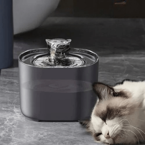 FONTAINE À EAU CHAT | SILENCIEUSE - Leschamour