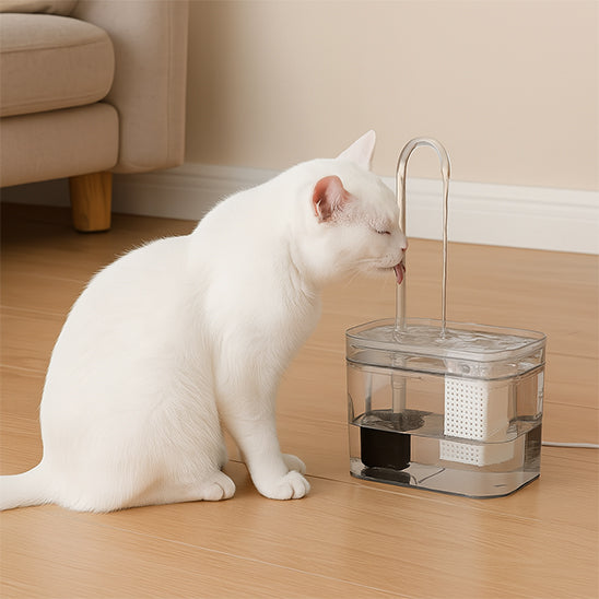fontaine-a-eau-chat-transparente-1.5L-avec-filtre