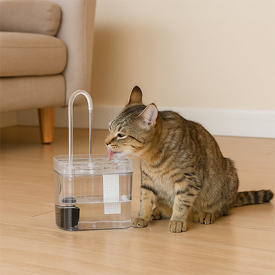 Fontaine-a-eau-chat-transparente-1.5L-électrique