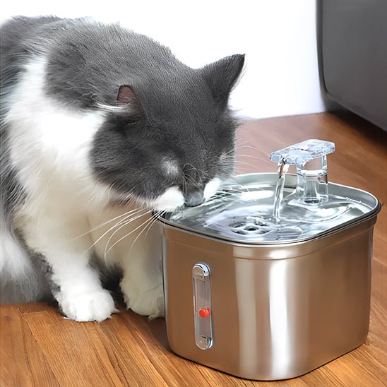 FONTAINE A EAU POUR CHAT | AVEC CAPTEUR DE MOUVEMENT - acier-inoxydable Leschamour