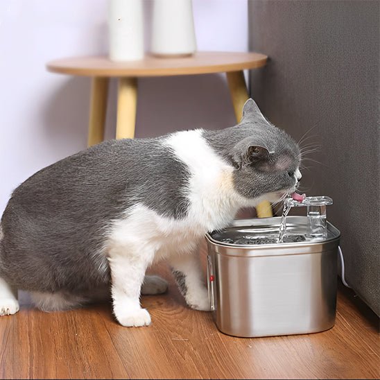 FONTAINE A EAU POUR CHAT | AVEC CAPTEUR DE MOUVEMENT - silencieuse Leschamour