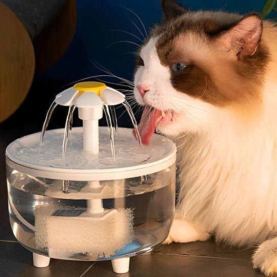 FONTAINE A EAU POUR CHAT | FLEUR - Leschamour