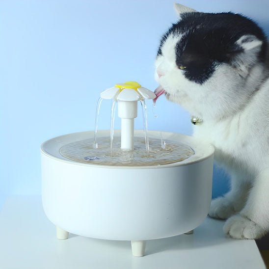 FONTAINE A EAU POUR CHAT | FLEUR - Leschamour